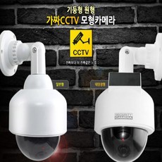 카메라렌탈