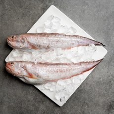 서피랑피쉬마켓