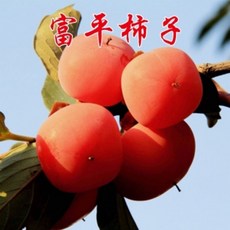 98a8054d3f51250c9d81b1c5f22e7d59e0ea8a20fabe718e2a659cb3a0ac.jpg