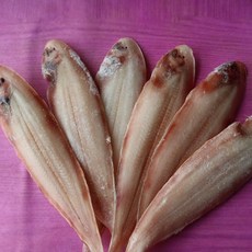 자연한팩 군산 반건조 박대 40cm내외 8-10미 특대 서대 말린 생선 구이 크기선택, 8마리, (대) 28~32cm내외