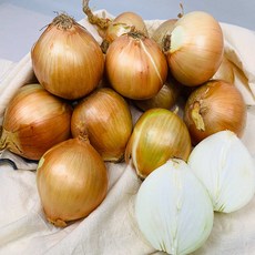 농부곳간 국내산 햇 무안 양파 속이 단단한 양파, 1개, 양파 소 3kg
