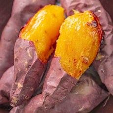 산지 직송 국산 해남 황토밭 해풍맞고 자란 달콤한 황금 꿀고구마 베니하루카 비세척, 1개, 10kg 한입