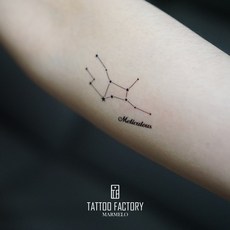 멜로타투스티커