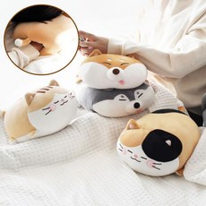 손넣는포켓몬쿠션