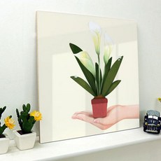 안스리움액자
