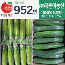 해돋이농산 애호박 쥬키니호박 국내산 특품 상품 인큐애호박 20개입 10kg, 애호박 상품 20개입