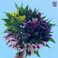 226cf60ea951f9254a3ad5f2efe0d2c9524cc540ca44d0a160d109210abb.jpg