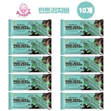 민트리치바 10개 아이스크림