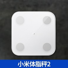신체측정및평가