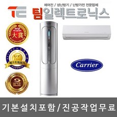 팀일렉트로닉스