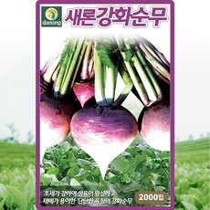 강화순무 씨앗 강화순무우 씨 종자 2000립, 1개