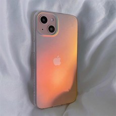 연질2pcd케이스100