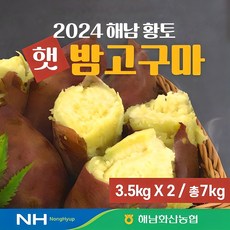 24년 화산농협 해남 황토 햇 밤고구마 7kg(3.5kg+3.5kg)