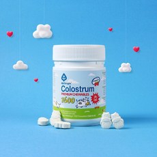 초유단백질 면역글로불린 lgG 씹어먹는 초유 초유캔디 엔젯오리진 초유 프리미엄 츄어블 1600 x100개, 1개