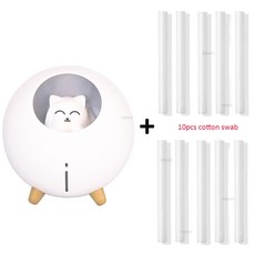 홈플래닛가습기