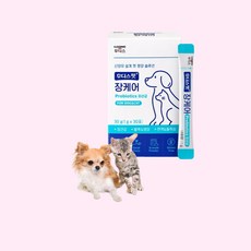 고양이의 날] 일동후디스 후디스펫 장케어 유산균 스틱 30포 1개, 30g