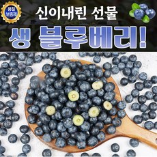 생블루베리1kg