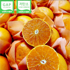 추천43월제철과일