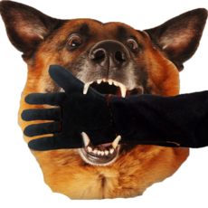 개물림 방지 장갑 고양이 강아지 조련용 손보호 반려동물 훈련용, 1개, 블랙