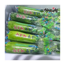 신선특가 못난이 애호박 실속가득 아삭달콤 20개 개당400-500g, ONE COLOR, ONE SIZE