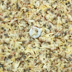 포항마트 건명주 조개살 400g / 건조개살 개량조개 명지조개, 1개, 건명주 조개살_소_400g
