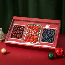 [수플린] 크리스마스 홈파티팩 딸기 체리 블루베리 총 1kg내외, 1세트, 1kg