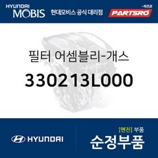 ggs필터