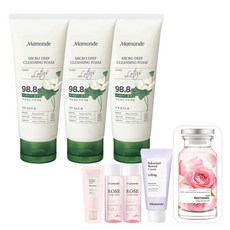 다까라마이크로미스트