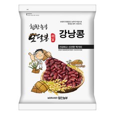 붉은강낭콩