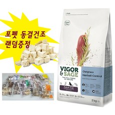 도도펫 (동결건조간식램덤증정)비고앤세이지 고양이 사료, 2kg, 헤어볼컨트롤어덜트