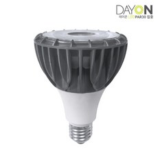 DNN LEDPAR 파30램프 파전구 30W 집중형 주광색 주백색 전구색, 1개