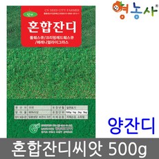 골프장양잔디