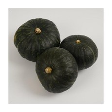 달콤포근 영양가득 미니단호박 2kg 5-8개, ONE COLOR, ONE SIZE