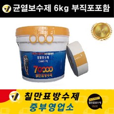 대화정밀크랙보수제세트