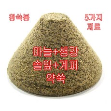 모사월드 TOP01