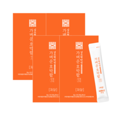 김소형원방 가벼운 호박팥 진액 호박팥차 스틱, 4박스, 15개입, 20g