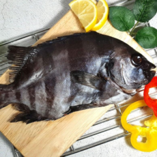 [자연식탁]명품 제주도 자연산 돌돔200g이상(23~25cm) 1미 돌돔, 1팩
