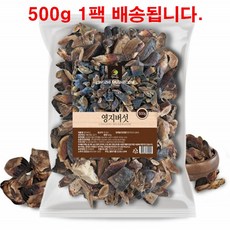 영지 버섯 차 효능 베타글루칸 무기질 건 말린 건조 영지버섯 절단, 1개
