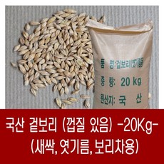 [다온농산] 2023년산 국산 겉보리 -20Kg- 보리차 보리새싹 및 엿기름용 전용상품