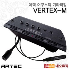 VERTEX-M, 아텍 VERTEX-M_P6