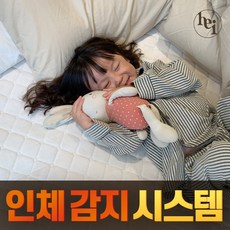 헤이룸 웰슬립 탄소매트 인체감지 카본매트