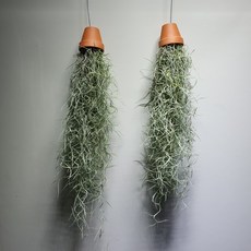 00d8342cb126f9e9cfa38ce1648af09861438def7cb518e3e6abd6e6c0b0.jpg
