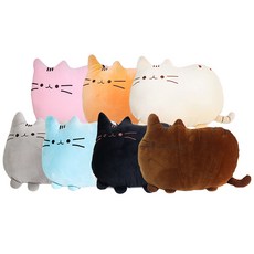 강순돌
