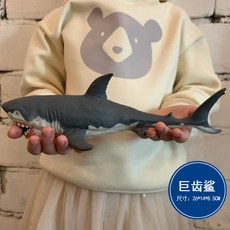 컬렉타메갈로돈
