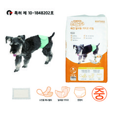 기저귀임박