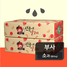 산들앤 달코미 부사 세척사과 3kg 2박스(총6kg) 경북사과 10월11월수확 산지직송 개별포장, 2박스