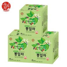 송원 뽕잎차 40티백 x3개 (120T), 32g, 40개입, 3개