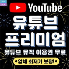 유튜브 프리미엄+유튜브 뮤직 이용권 12개월