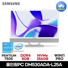 삼성 올인원PC DM530ADA-L25A 사무용 가정용 공간활용 일체형PC, WIN11 Pro, 256GB, 8GB