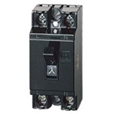 Panasonic 파나소닉 안전 방어구 HB 유형 2P1E 10A BS1110, 1개, 상품명참조
